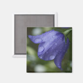 blaue Glocke Magnet (Vorderseite/Rückseite)