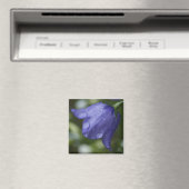blaue Glocke Magnet (In Situ (Geschirrspüler))