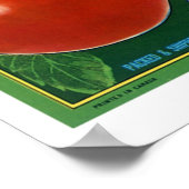 Blaue Grouse Canadian Äpfel Poster (Ecke)