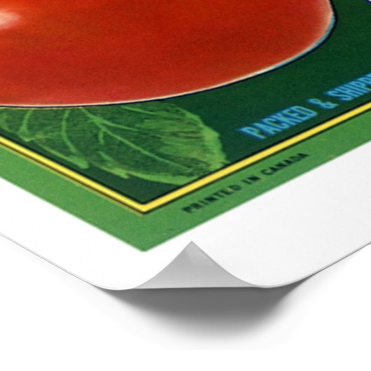 Blaue Grouse Canadian Äpfel Poster (Ecke)