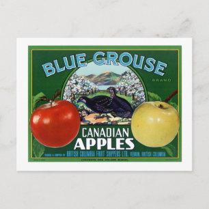 Blaue Grouse Canadian Äpfel Postkarte