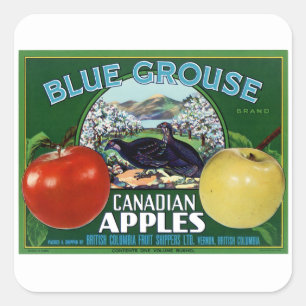 Blaue Grouse Canadian Äpfel Quadratischer Aufkleber