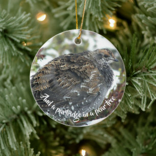 Blaue Grouse im Schneeschuhwandern Keramik Ornament