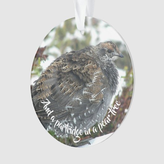 Blaue Grouse im Schneeschuhwandern Ornament (Vorderseite)