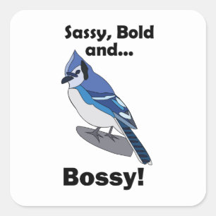 Blaue-Häher-Freche-Kecke-Bossy-Vogel-Geburtstagsfe Quadratischer Aufkleber