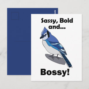 Blaue Häher-Freche-Kecke-Chefin-Vogel-Geburtstag  Postkarte