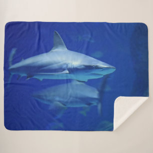 BLAUE HAIFISCHE SHERPADECKE
