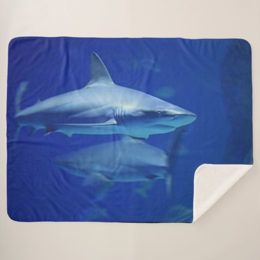 BLAUE HAIFISCHE SHERPADECKE (Vorderseite (Horizontal))