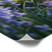 Blaue Hasenfeder Frühjahrsnebel Poster (Ecke)