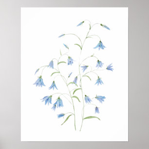 Blaue Hasenglockenblumen Wasserfarben 2021 Poster
