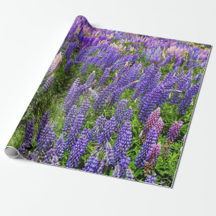 Blaue Hauben Blaue Blumen Texas Texaner Elegant Geschenkpapier