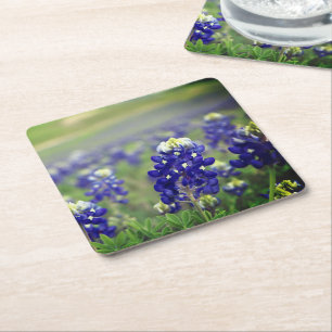 Blaue Hauben Blaue Blumen Texas Texanisch Floral Rechteckiger Pappuntersetzer