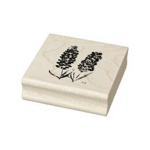 Blaue Hauben Blumen Wildblumen Lupine Texas Gummistempel