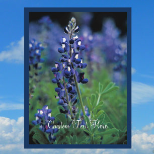 Blaue Hauben Feld Blaue Blume Texas Staat Postkarte