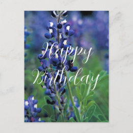 Blaue Hauben Texas State Flower Blau Geburtstag Postkarte