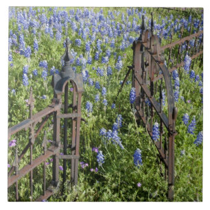 Blaue Hauben und Phlox umgeben das Friedhofstor Fliese