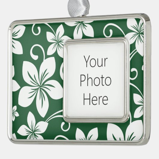 BLAUE HAWAII (GRÜNE WÄLDER) Rahmen-Ornament SILBER (Links)