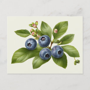 Blaue Heidelbeer-Frucht-Illustration im Vintage-St Postkarte