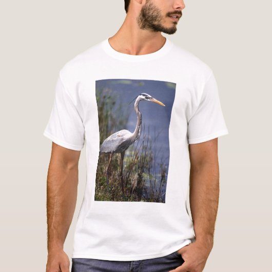 Blaue Herbergsvogel T-Shirt (Vorderseite)
