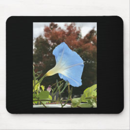 Blaue Herbst-Prächtige Morgenblume Mousepad