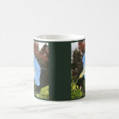 Blaue Herbst-Prunkwinde Kaffeetasse (Mittel)