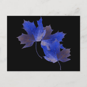 Blaue Herbstblätter Postkarte