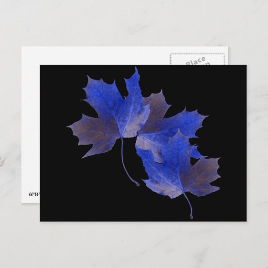 Blaue Herbstleaves Postkarte (Vorne/Hinten)