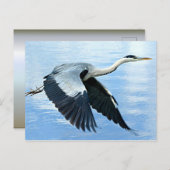 Blaue Herde im Flug über Wasser Postkarte (Vorne/Hinten)
