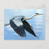 Blaue Herde im Flug über Wasser Postkarte (Vorderseite)