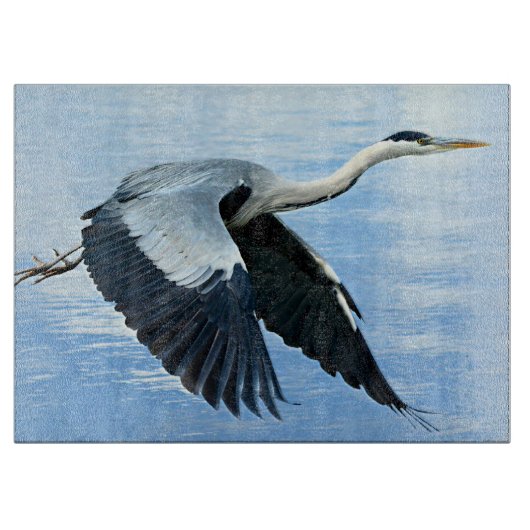 Blaue Herde im Flug über Wasser Schneidebrett (Vorderseite)