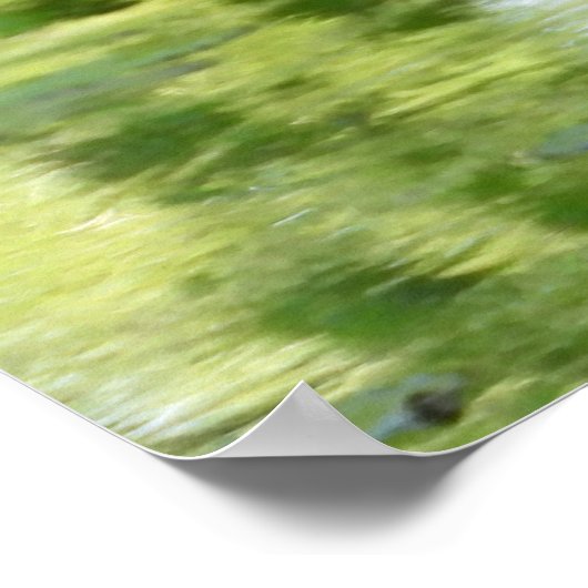 Blaue Herde im Teich Poster (Ecke)