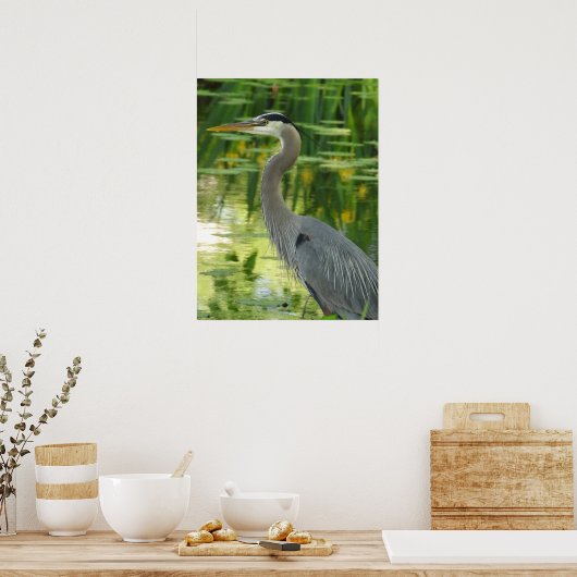 Blaue Herde im Teich Poster (Küche)