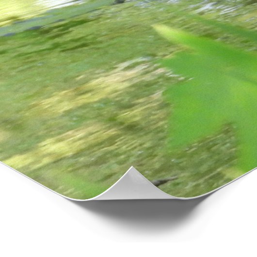 Blaue Herde im Teich Poster (Ecke)