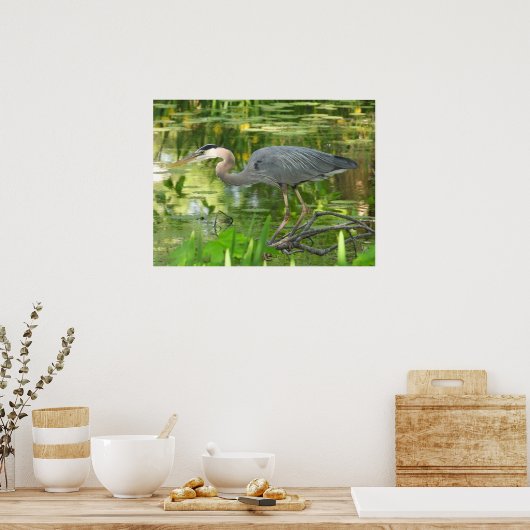 Blaue Herde im Teich Poster (Küche)