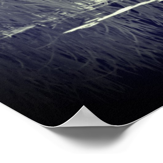 Blaue Herde-Reflections Bird Black and White Poster (Ecke)