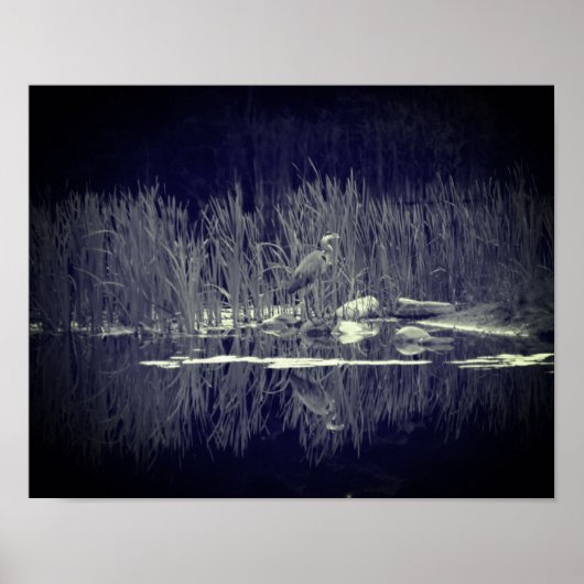 Blaue Herde-Reflections Bird Black and White Poster (Vorne)
