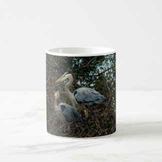Blaue Heron Birds Nest in Bäumen Kaffeetasse