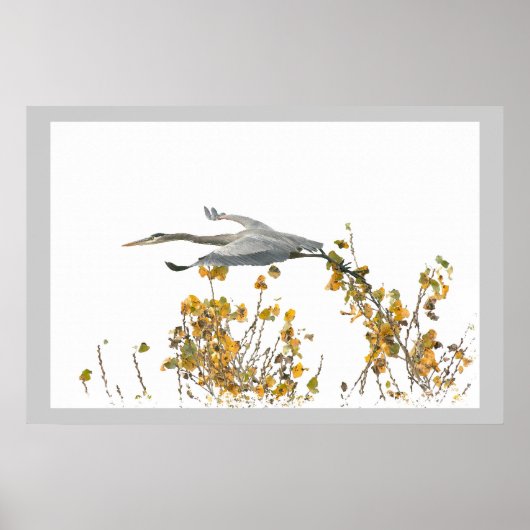 Blaue Heron Vögel Wildtiere Poster (Vorne)