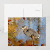 Blaue Herone gerahmt mit Laubblättern Postkarte (Vorne/Hinten)