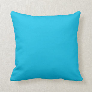 Blaue Himbeere (feste Farbe)  Kissen