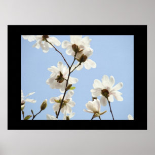 Blaue Himmel Kunst Drucke Weiße Blüten Blumen Magn