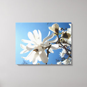 Blaue Himmel Magnolie Florale Leinwand Kunst Druck