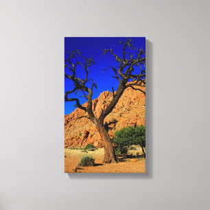 Blaue Himmel Rote Erde Baum Namibia Leinwanddruck