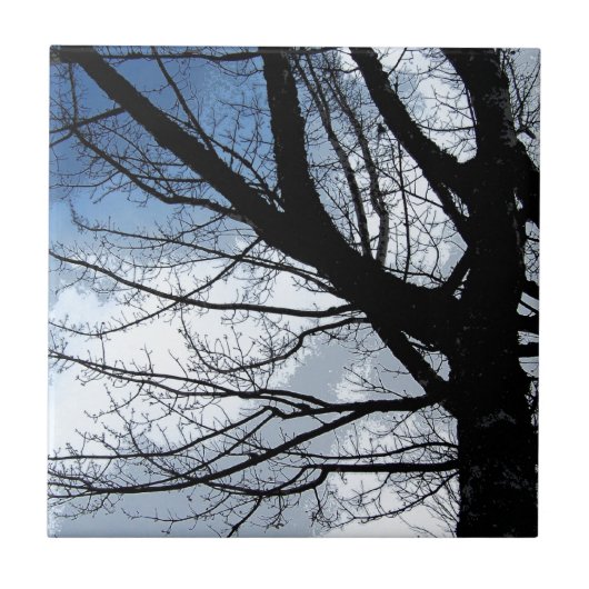 Blaue Himmel und Alte Bäume Kunst Fliese (Vorderseite)
