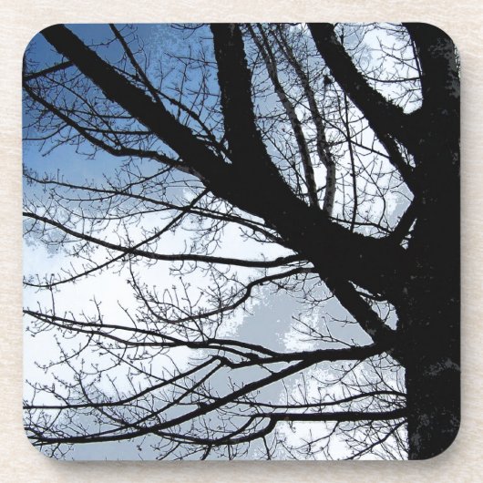 Blaue Himmel-und Erlen-Baum-Kunst Getränkeuntersetzer (Vorderseite)