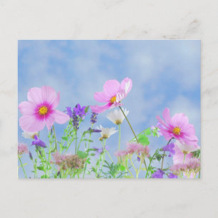 Blaue Himmel Wiese mit Wildblumen Pastell Blumen F Postkarte