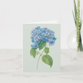 Blaue Hortensie Botanische Kunstkarte — Leere Noti Karte