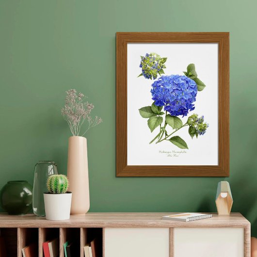 Blaue Hortensie Original Kunst Druck Poster
