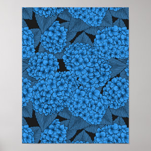 Blaue Hortensie Poster