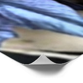 Blaue Hortensie Poster (Ecke)